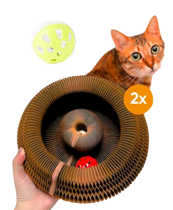 Viviguru™ The interactive mental physical exercise for cats