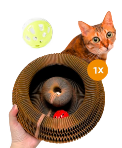 Viviguru™ The interactive mental physical exercise for cats